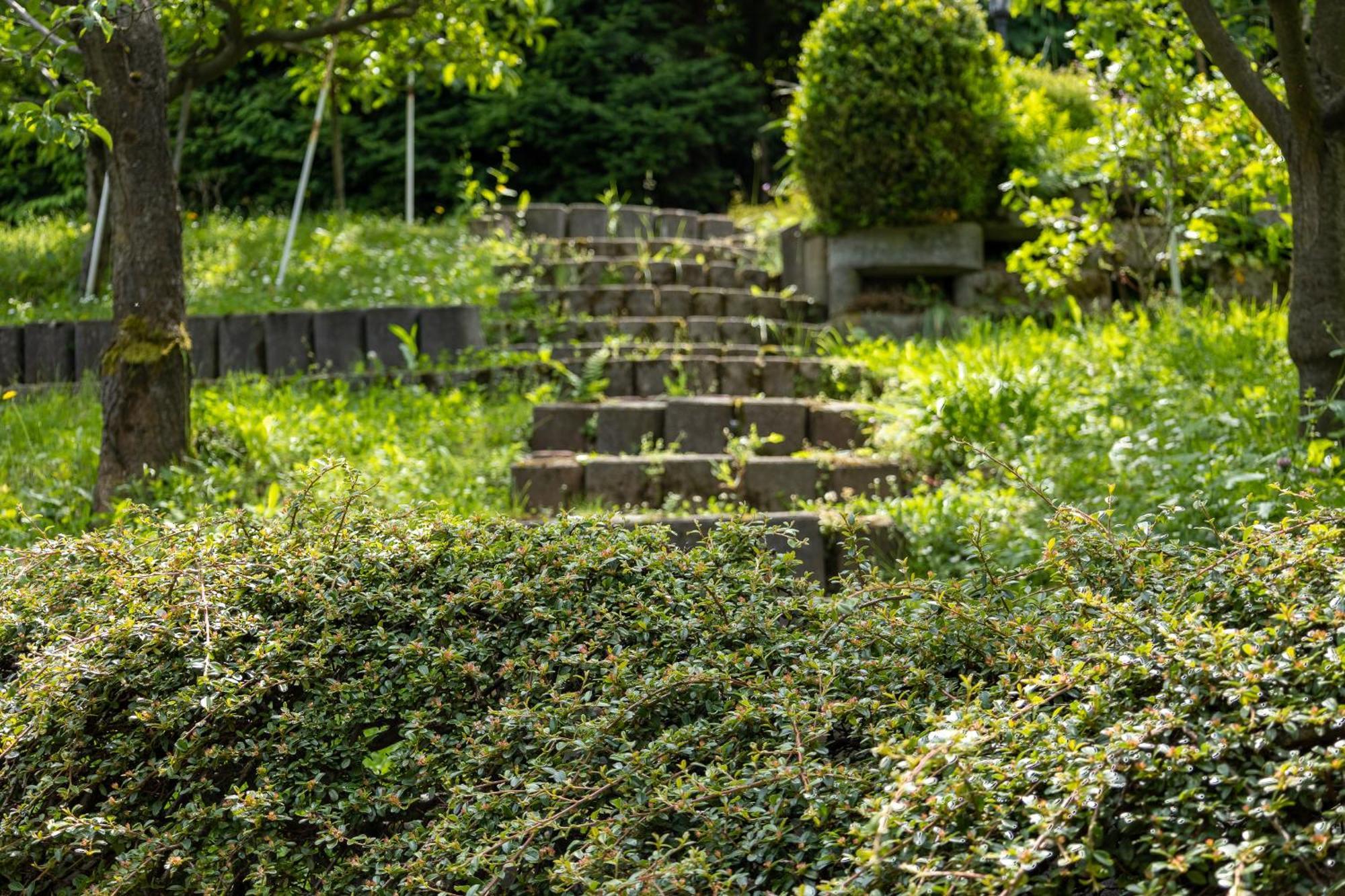 Villa Amalia, Centrum Banska Stiavnica, Parkovanie Pre 2 Auta, Velka Zahrada S Krbom, Cela Villa Amalia Pre 14 Osob Alebo Samostatne Nezavisle Prve Podlazie Villa Ama Pre 6 Osob Alebo Samostatne Nezavisle Podkrovie Villa Lia Pre 8 Osob,Pristup Cez Pi ภายนอก รูปภาพ