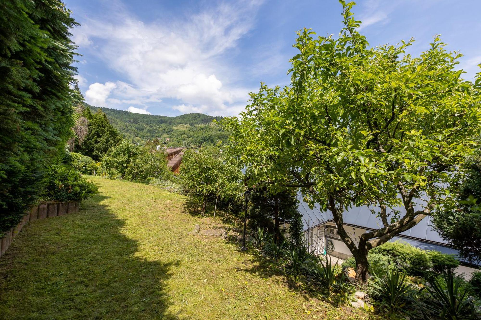 Villa Amalia, Centrum Banska Stiavnica, Parkovanie Pre 2 Auta, Velka Zahrada S Krbom, Cela Villa Amalia Pre 14 Osob Alebo Samostatne Nezavisle Prve Podlazie Villa Ama Pre 6 Osob Alebo Samostatne Nezavisle Podkrovie Villa Lia Pre 8 Osob,Pristup Cez Pi ภายนอก รูปภาพ